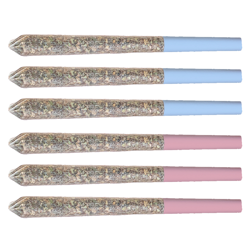 Station House - Variety Pre-Roll (6-pack) / - Variety Pre-Roll (6-pack) 6x0.5g Pre-Rolls